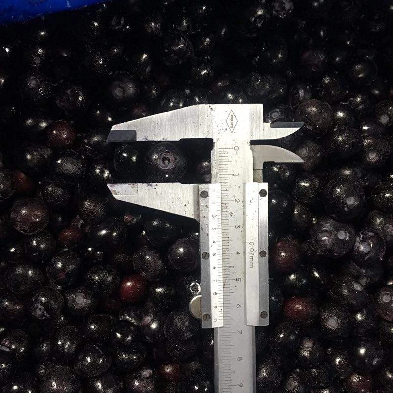 Freeze Dried Blueberry Bulk Supply | Wholesale Manufacturer H817ac5ffee744c84aaf4cd88e943bb40V