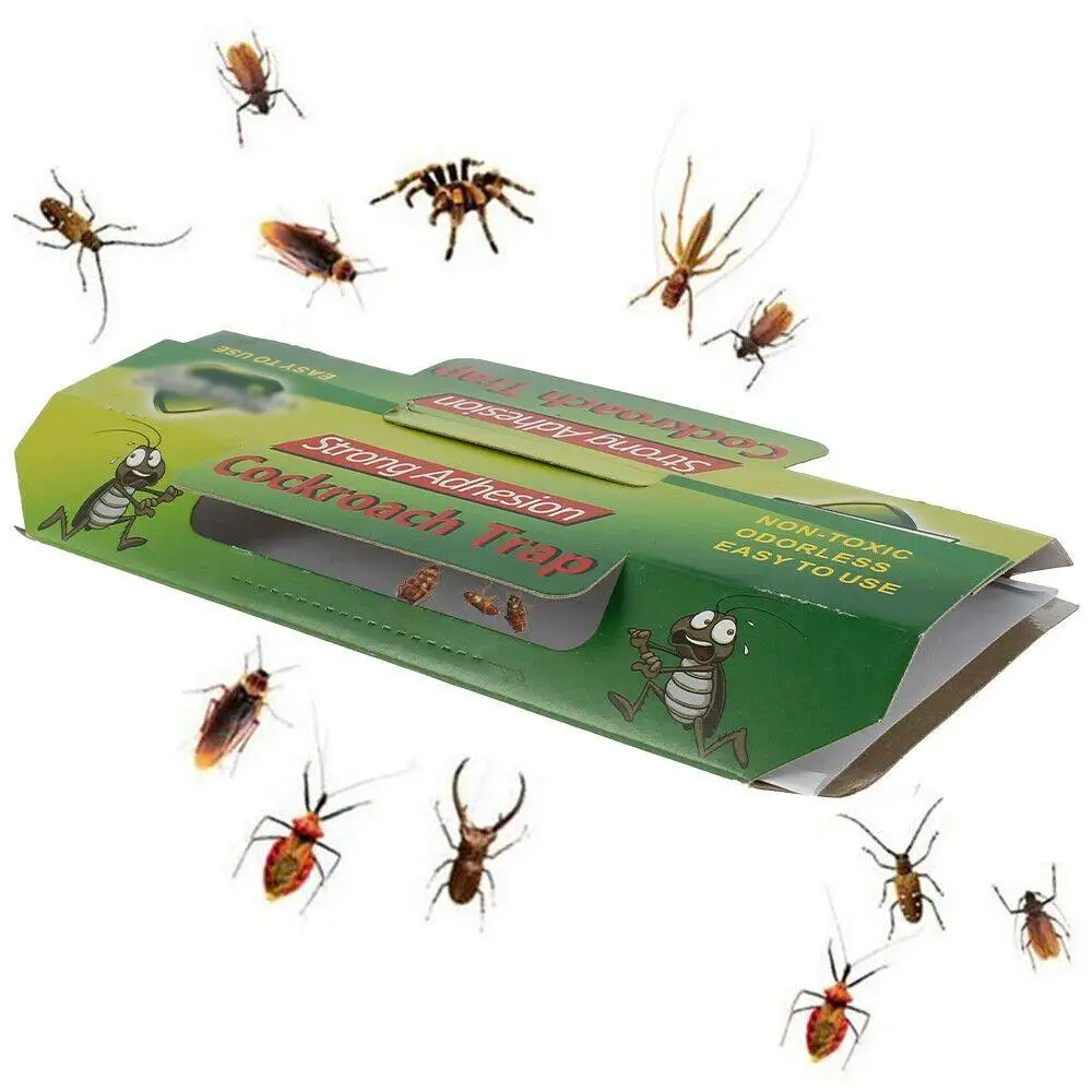 Solid State Cockroach Killing Glue Traps Effective Pest Control Chemicals for Roach Control