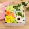 Caja de clavel (verde fruta)
