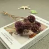 Púrpura uva