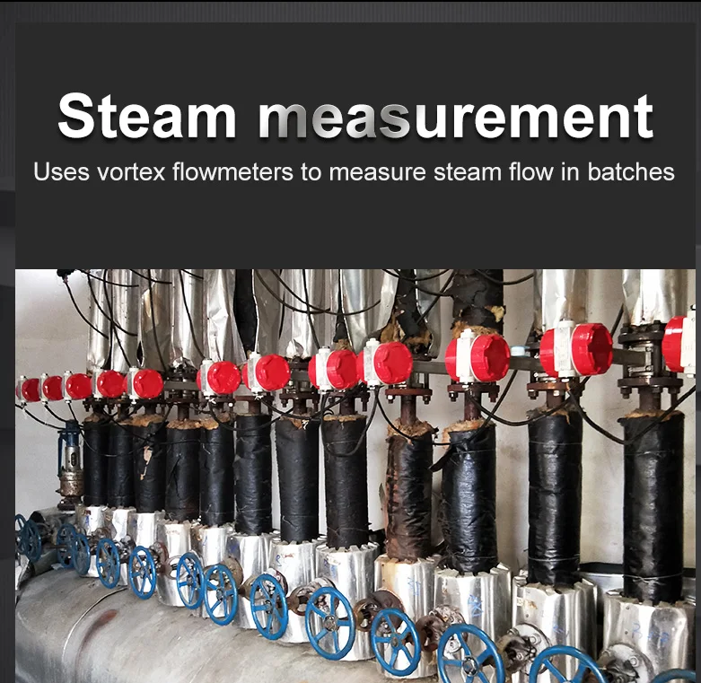 Air Gas Flow Meter Grams Per Second Remote Type Steam Totalizer Vortex