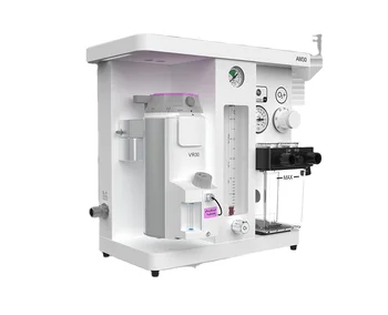 Wholesale good price Berry AM30 Veterinary Anesthesia machines