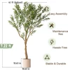 Albero di Ulivo Verde Naturale 2,20 m con Vaso Moderno Beige