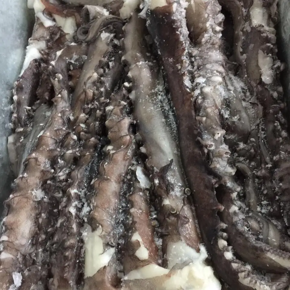 イカの触手ストリップ冷凍イカの触手カット Buy イカ触手ストリップ 冷凍イカ触手 イカ触手カット Product On Alibaba Com