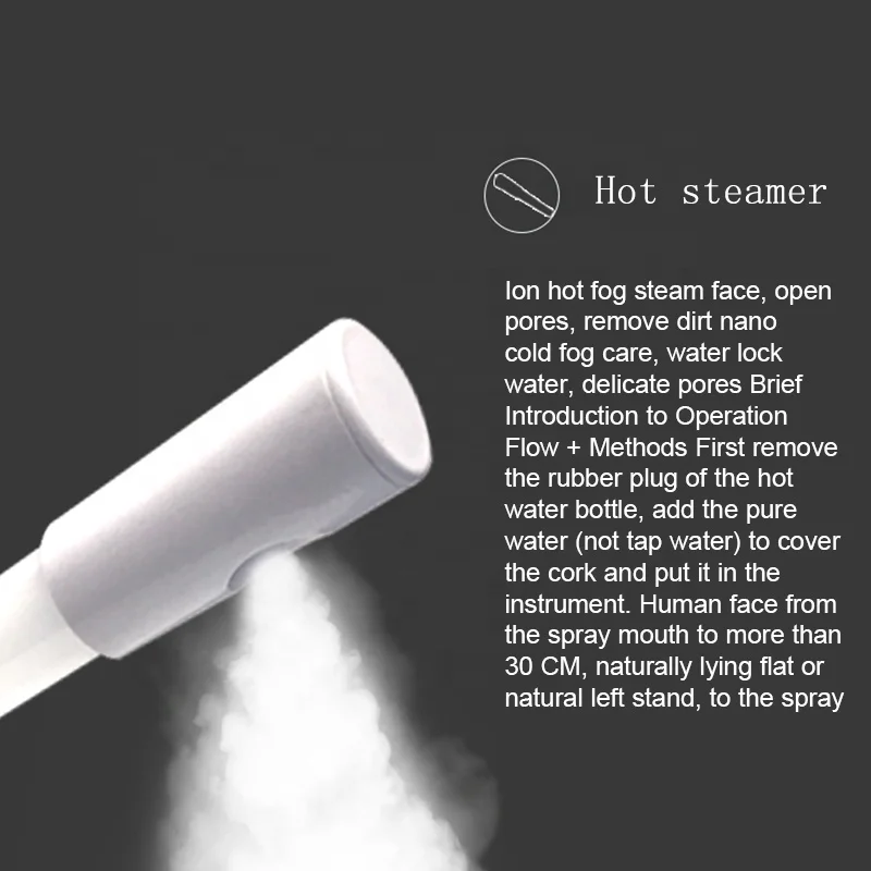 6 In 1 Electric Aromatherapy Ozone Facial Steamer Hydrodermabrasion