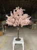 Árbol de cerezo con estambres rosas y amarillos