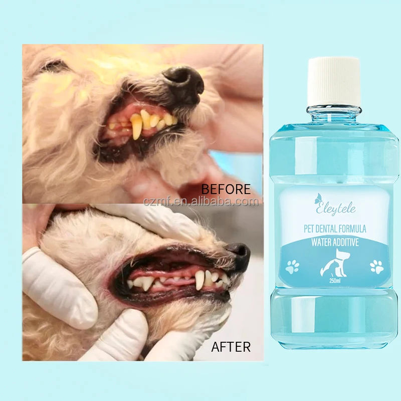 can you use listerine to clean a dogs teeth