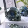 Cráneos de Labradorita