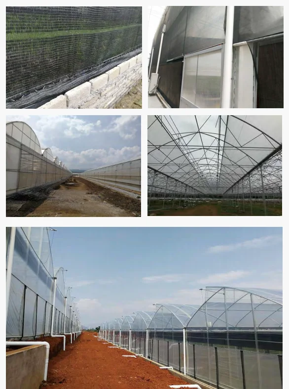 Galvanized Steel Pipes Poly Film Greenhouse With Accessories