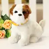 Chien de chasse