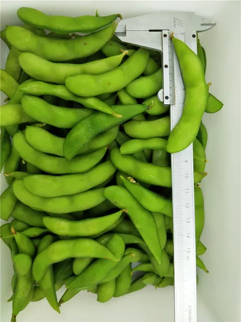 bulk raw edamame vegetables products frozen green soy bean
