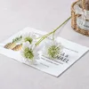 A white branch