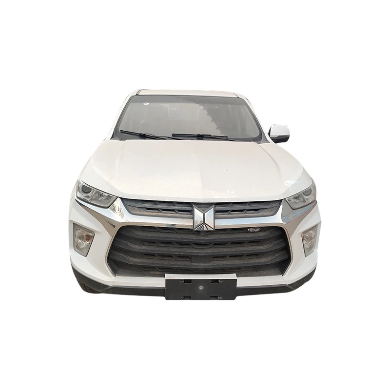 2025 Isuzu Pickup 4*2 4*4 and New Model Foton Pickup Truck 4X2 4X4 Full Pickup truck for sale