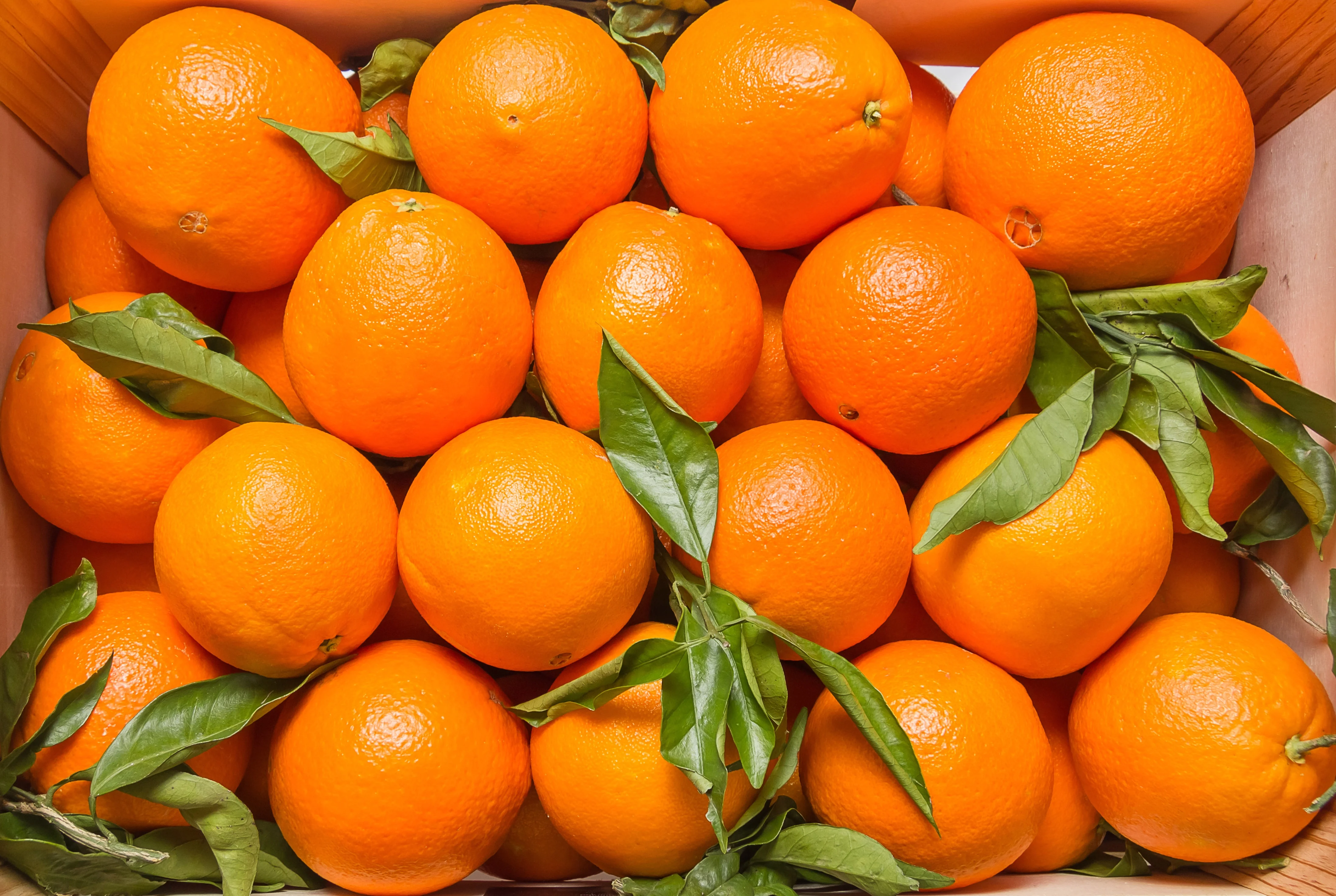 Почему мандарин оранжевый. Сорт апельсина Valencia (Валенсия). Мандарины в Валенсии. Апельсин navel. Спелый апельсин.