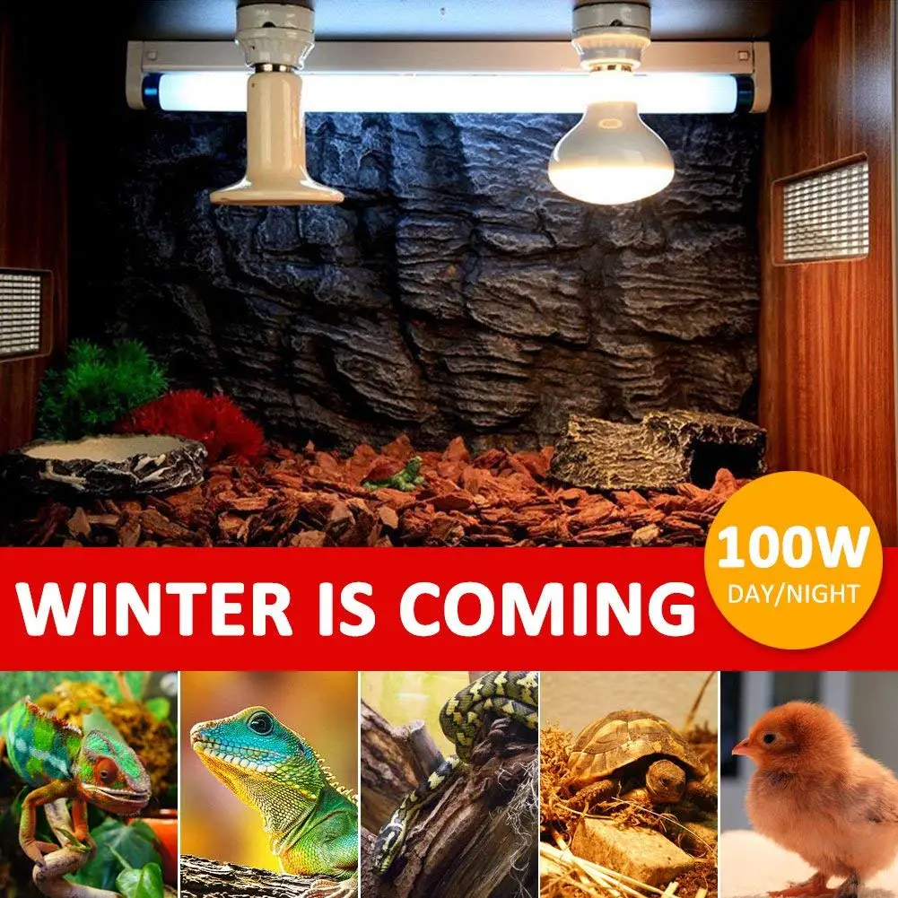 Ceramic heating lamp -37.jpg