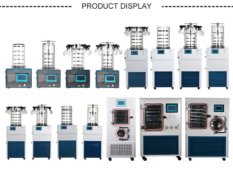 Fruit Food Vegetable Vacuum Freeze Dryer