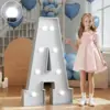Lumières blanches de 3 pieds