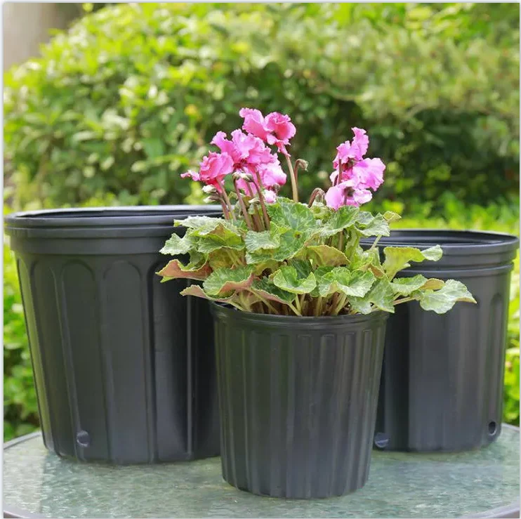 Wholesale Cheap 1 2 3 5 7 10 15 20 Gallon Black Plastic Pot Outdoor
