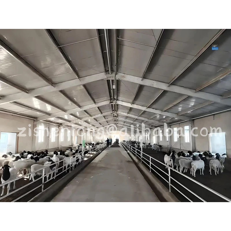 ASTM Standard  Light Prefab Steel Cow Farm Building Dairy Cow Shed Steel structure