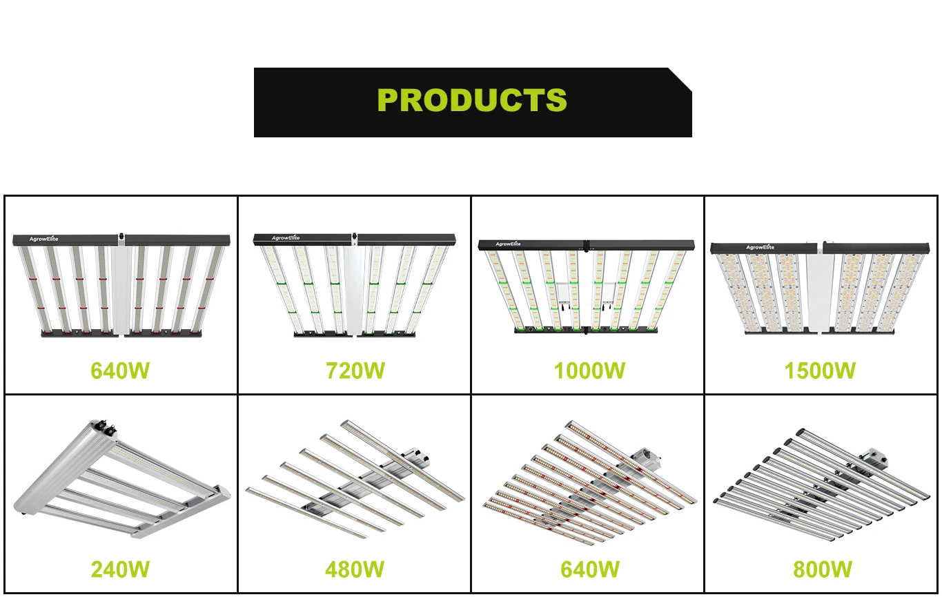 9w 20w 36w T8 Full Spectrum Single Double Row Dragon Fruit Led Tube