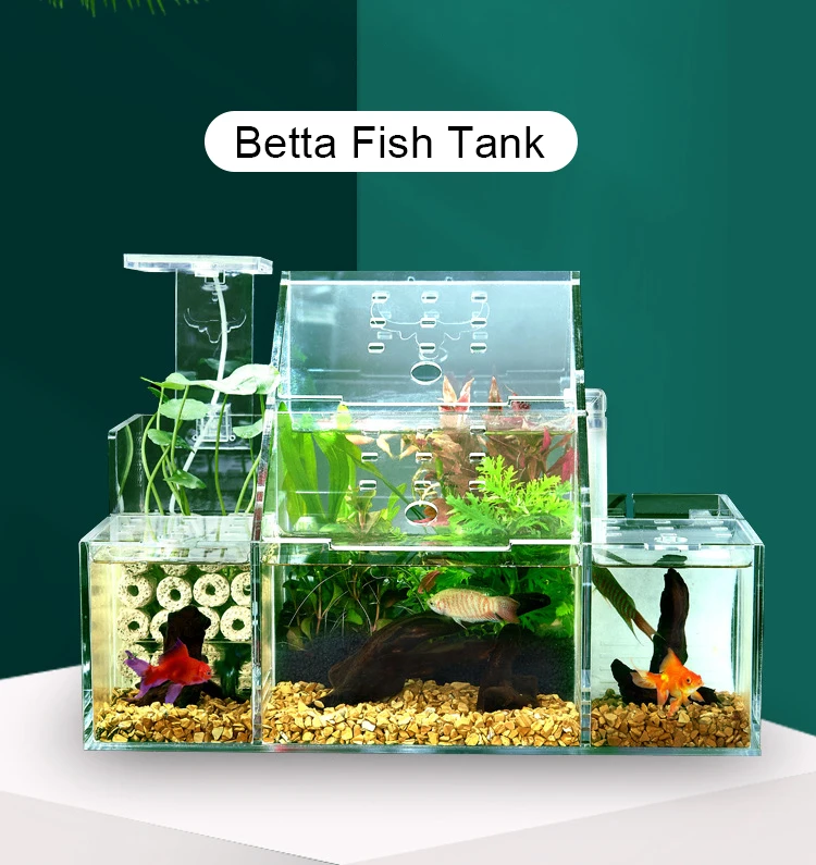 Selfcirculating Breeding&incubation Fish Tank Acrylic Sick Fish
