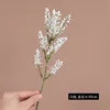 Blanco (una sola rama)