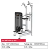 008 Assist dip menton