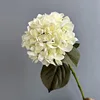 Creamy white
