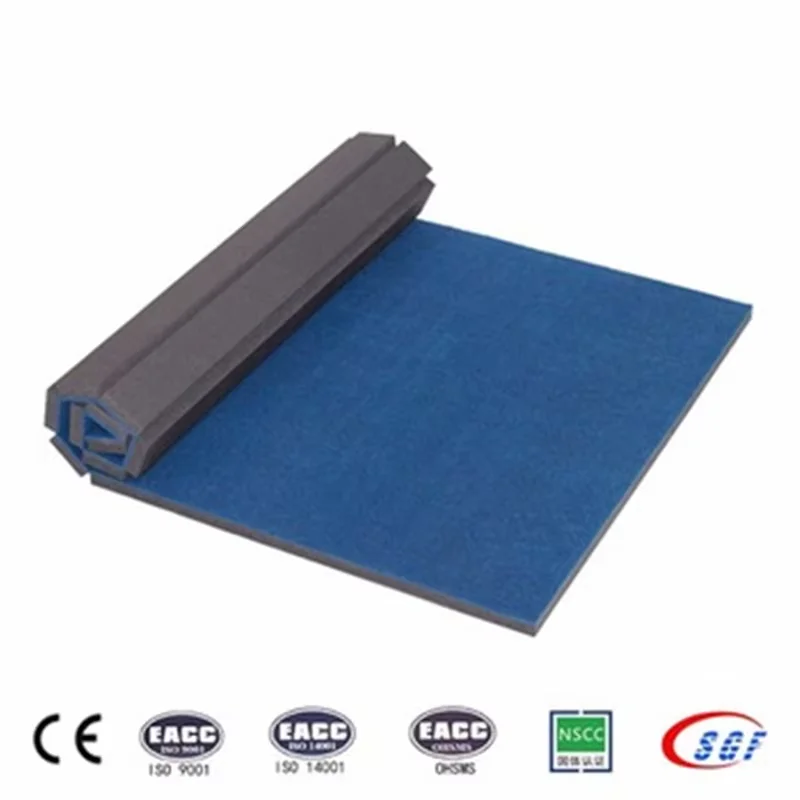 Professional PVC Portable Foldable Roll Mat with Customized Thickness for Gymnastics Flooring