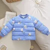 Orso blu foschia