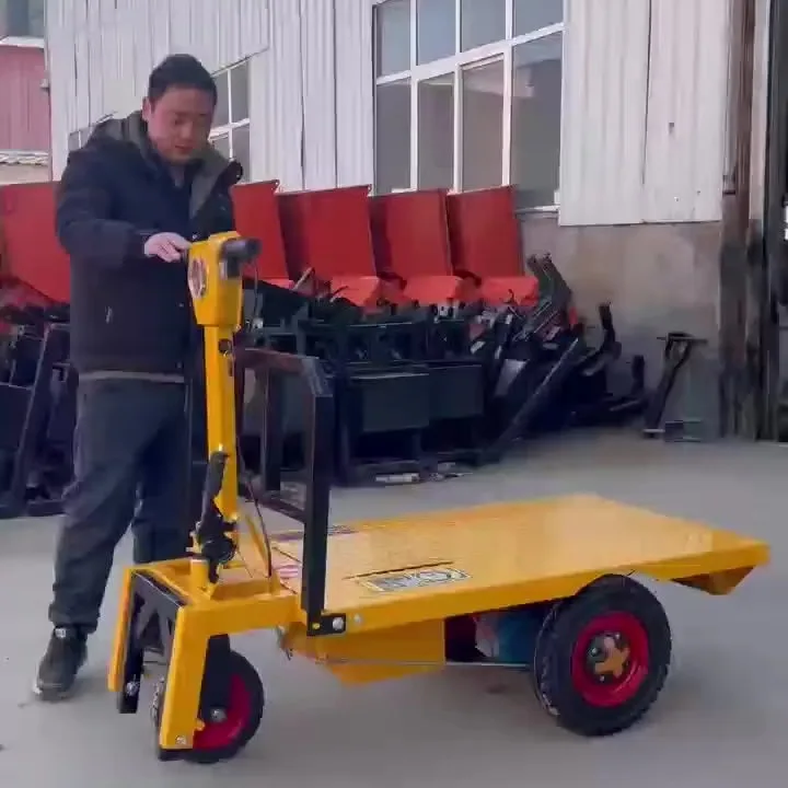 Namibiaelectric tricycle flatbed truck
