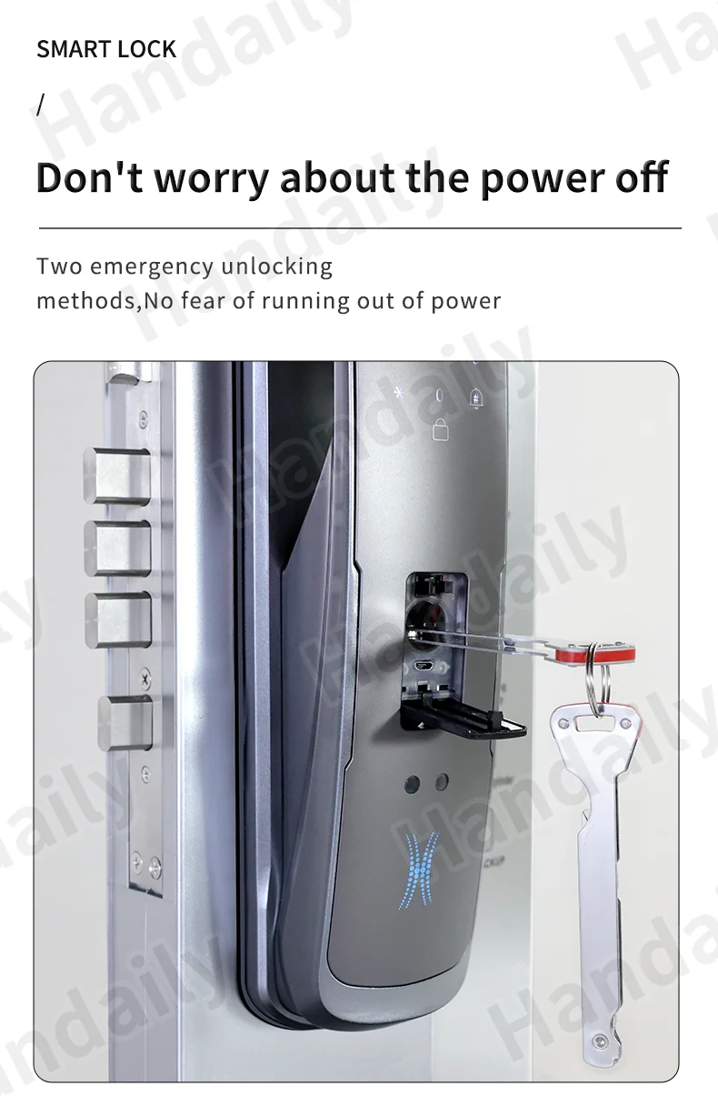 handaily logo custom video talking smart lock with privacy password face recognition tuya wifi digital locks h8-9