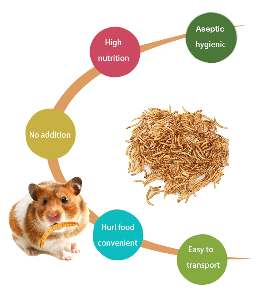 dried mealworms details.jpg