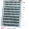 ZBP10