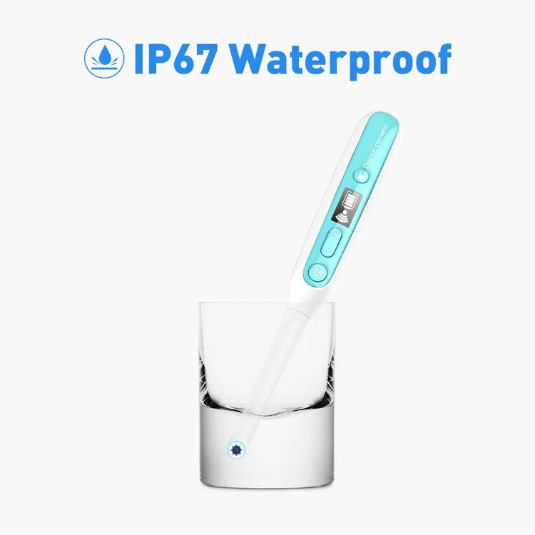intraoral camera (8)
