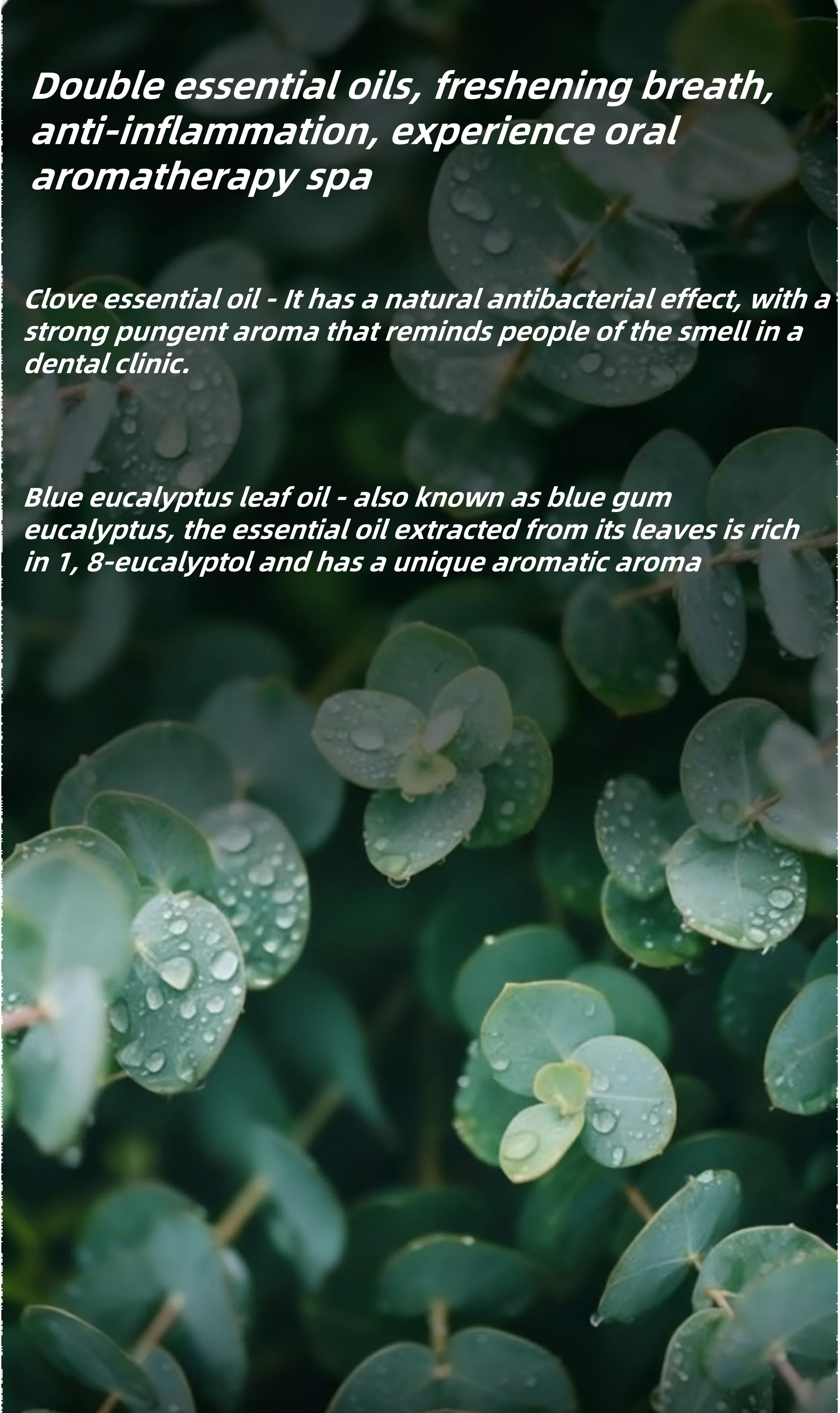 Natural Whitening Propolis Toothpaste with 130g/box and 3 Years Shelf Life for Gentle Oral Care