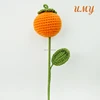 Only one Persimmon