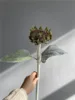 #4 sunflowers