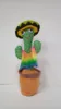 Hawaii-cargando cactus bailando [grabación + baile + Canto]