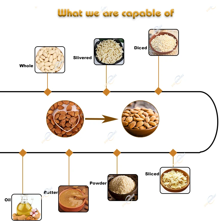 Manufacturer Equipment 300kg 500kg 1000kg Automatic Palm Apricot Kernel Hazelnut Almond Processing Production Line
