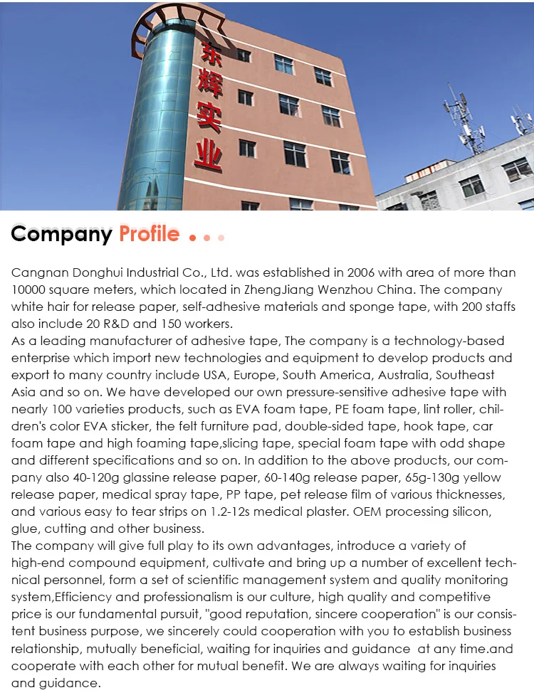 Company overview