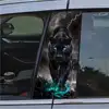 PANTHER