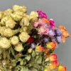 Rosa monocromática vintage, 1 manojo de 15 unidades.