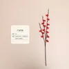 Type b red