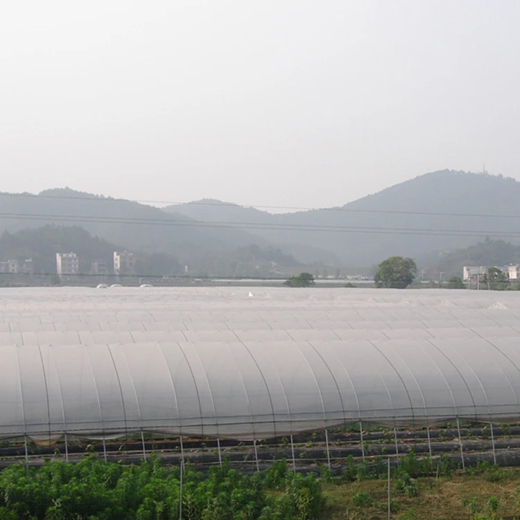 100% Polypropylene UV Stabilized Row Cover to USA Market