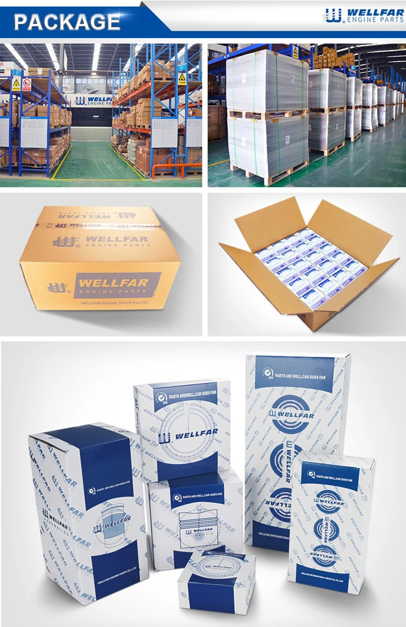 Wellfar Iso Factory Engine Parts Auto Oil Filter 90915yzzj1 90915yzze1 90915yzzd4 90915yzza4