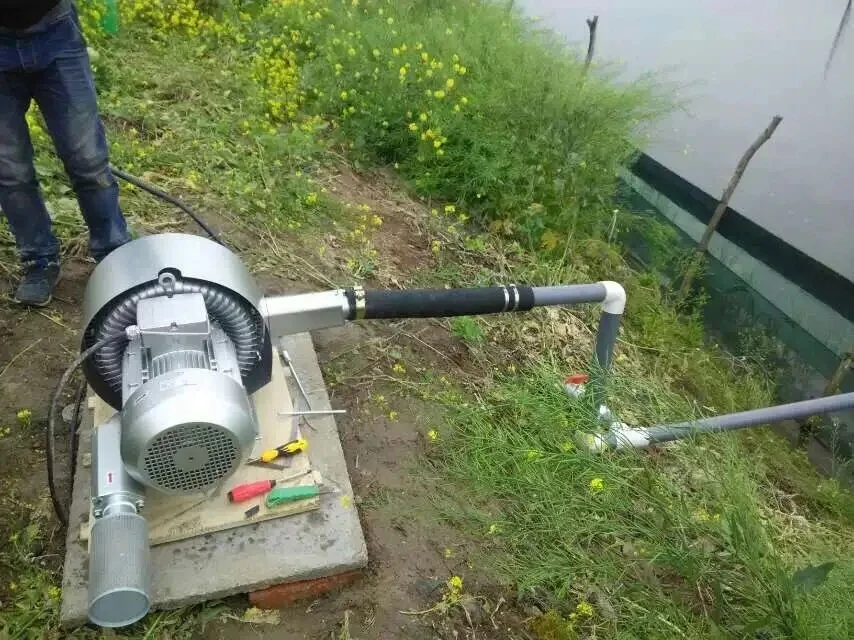 Ring Blower, 18KW, 24HP - detail 8