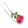 Rose red