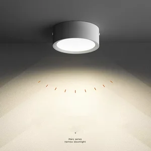 Ultra-Thin Circular LED Downlight Surface-Mounted Black & White Ceiling Light with IP44 Rating