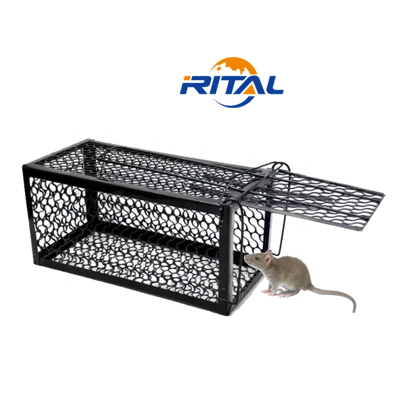 Indoor Humane Live Catch High Sensitive Rat Rodent Control Mouse Trap Cage  - China Mouse Trap Cage and Mouse Cage Trap price